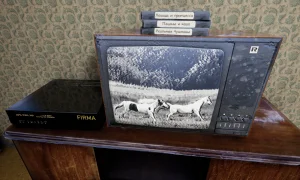 Скриншот игры scr7