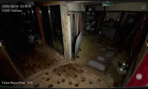 Скриншот игры scr4