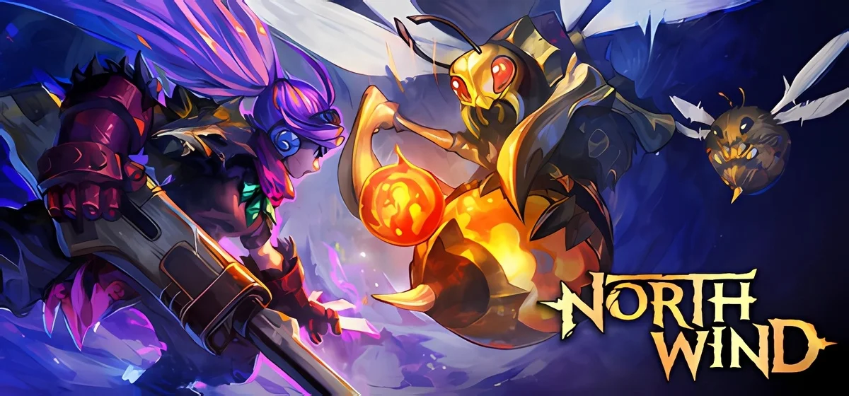 Northwind Build 20115281