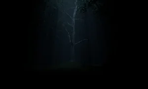 Скриншот игры scr8