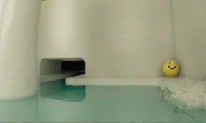 Скриншот игры scr3