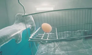 Скриншот игры scr5