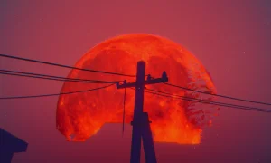 Скриншот игры scr3