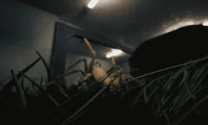 Скриншот игры scr8