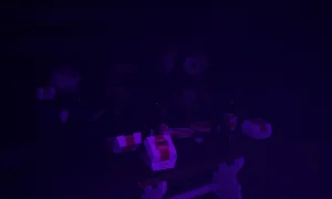 Скриншот игры scr5