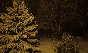 Скриншот игры scr8