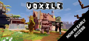 Voxile Build 21229510