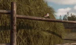 Скриншот игры scr3