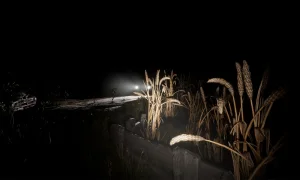 Скриншот игры scr4