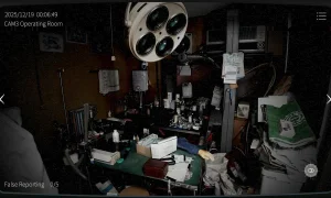 Скриншот игры scr6