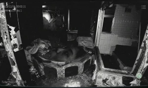 Скриншот игры scr7