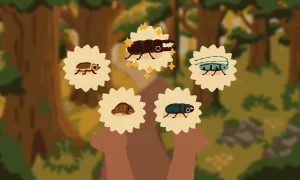 Скриншот игры scr3