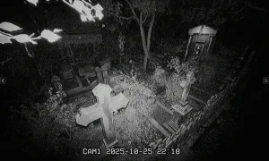 Скриншот игры scr2