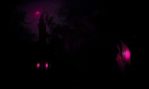 Скриншот игры scr3