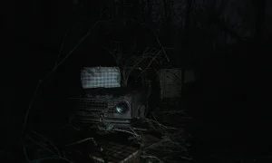 Скриншот игры scr1