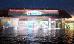 Скриншот игры scr6