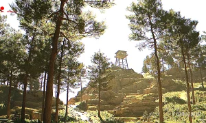 Скриншот игры scr2