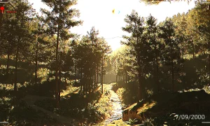 Скриншот игры scr6