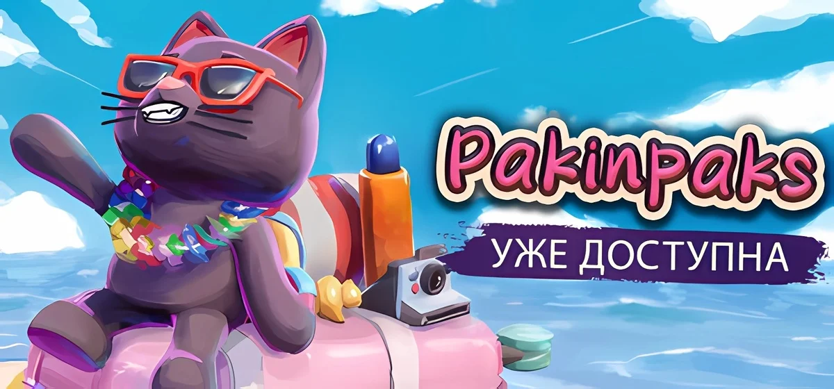 Pakinpaks Build 22468489