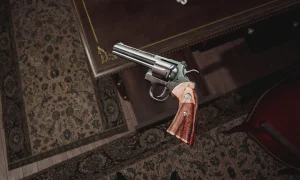 Скриншот игры scr5